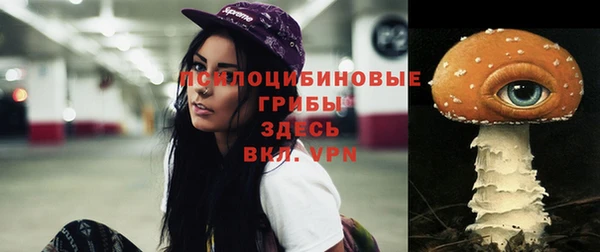 ешки Арсеньев