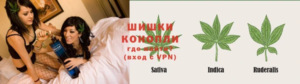 ешки Арсеньев