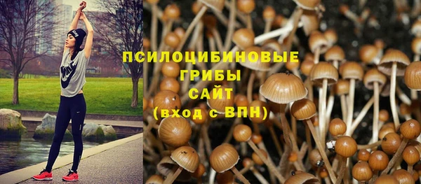 ешки Арсеньев